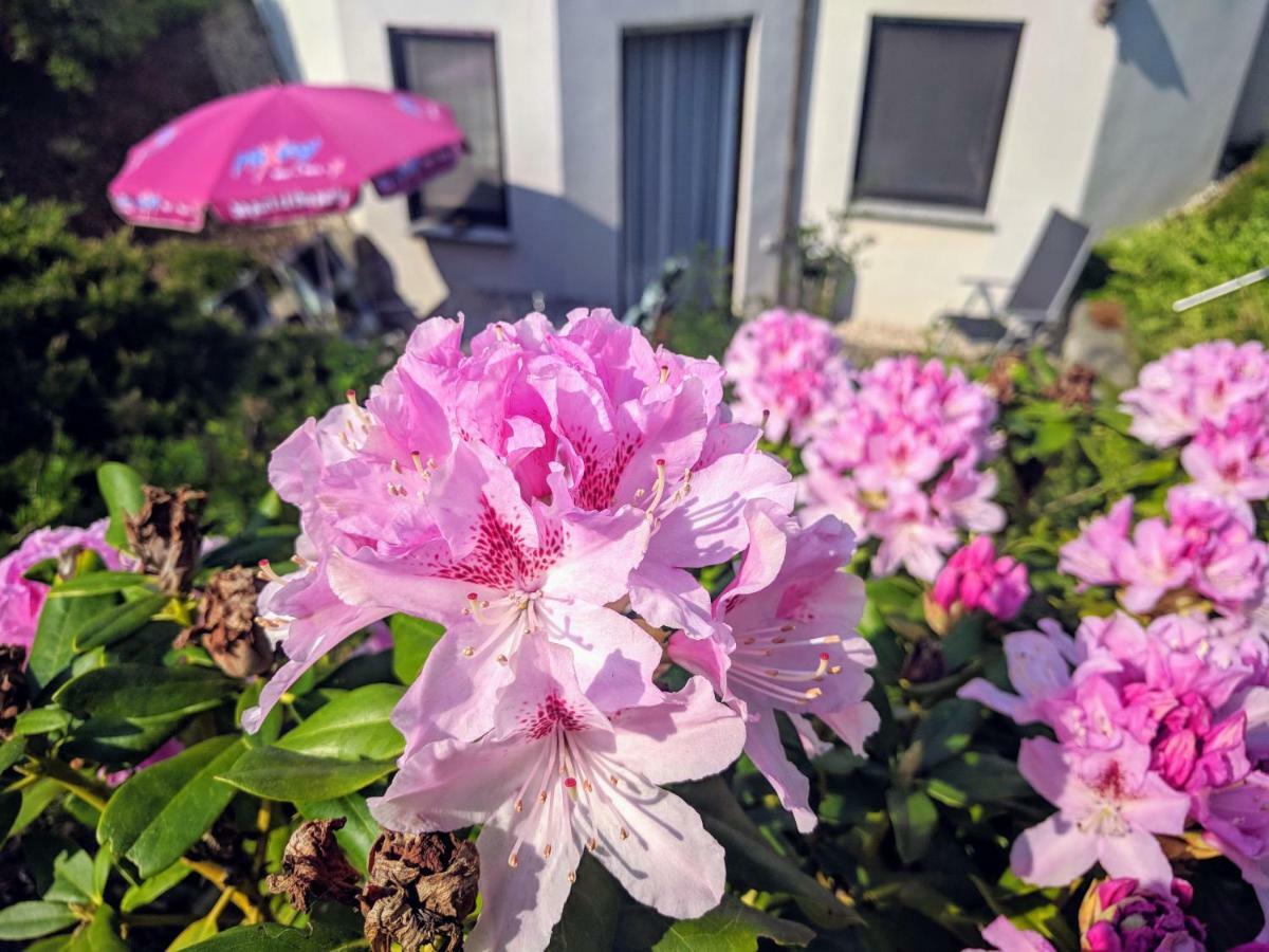 Ferienwohnung Mit Terrasse Grimma Εξωτερικό φωτογραφία